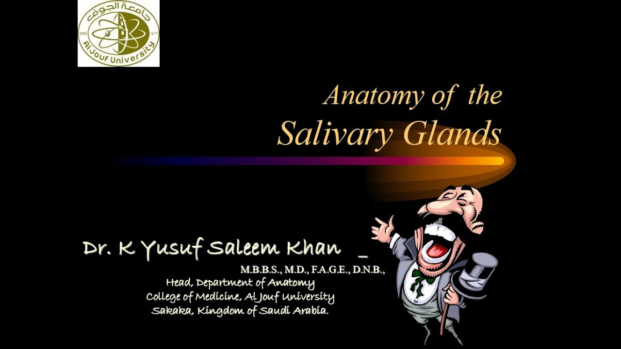 Anatomy || Salivary Glands || Parotid, Sub-Mandibular & Sub-Lingual || Dr. Yusuf ||