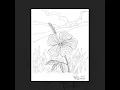 FREE Adult Coloring Book Printables for Stress Relief - DIY Art-Therapy