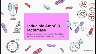 Serratia marcescens