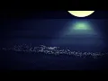 Before the night ends (To take to hold)  - Pure Nights - Yanni Cover - Joslin