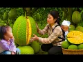 Download Lagu Harvested Jackfruit with My Child and Sold It at the Market – Made a Special Dish for the Family