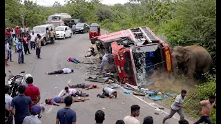 One Wrong Move Could Have Been Fatal... Unbelievable Escape! #elephantattack