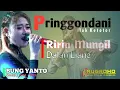 Download Lagu Egolane RIRIN MUNGIL Bikinnn... DAlAN LIANE / PRINGGONDANI Mak ketotor