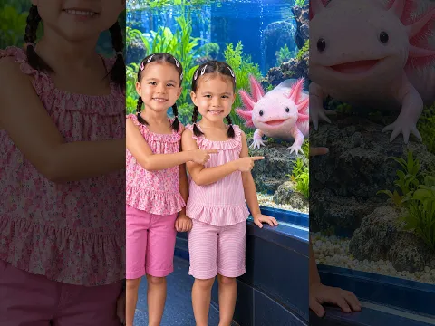 This Smiling Animal Can Regrow a Leg!