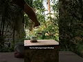Download Lagu Kan ku arungi 7 laut samudra. Penjaga hati - nadhif