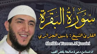 القارئ الشيخ ياسين الجزائري سورة البقرة كاملة Surah Al Bakqarah Sheikh Yassin Al Jazairi  القارئ الشيخ ياسين الجزائري سورة البقرة كاملة Surah Al Bakqarah Sheikh Yassin Al Jazairi