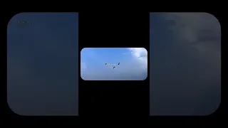 You Re In The Wind I M In The Water Lana Del Ray Lyrics Song Shorts 