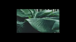 سورة التوبة كاملة بصوت القارئ عبد الله عواد الجهني بدون اعلانات 