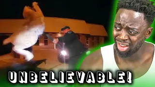 The Internet's Craziest Police Videos | REACTION