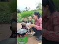 Geweldige SokYaa, OG, ToTo-dieren zijn zo geweldig #shorts