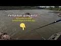 Download Lagu TANDA TANDA UMPAN DI MAKAN IKAN, Mancing Nilem Melem Umpan Roti #nutul #kalibelan