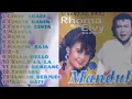 Download Lagu KUMPULAN LAGU SYAHDU RHOMA IRAMA FEAT ELVY SUKAESIH TERLENGKAP