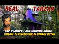 Download Lagu GAK NYANGKA!! ADA MANUSIA RIMBA TINGGAL DI RUMAH UNIK DI TENGAH HUTAN BELANTARA