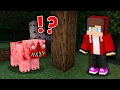 Download Lagu Mikey and JJ Found a Scary PIG ?! (Maizen)