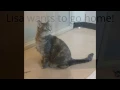 Meet Lisa