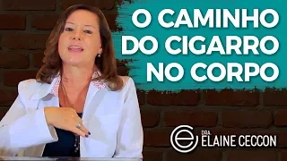 O que o CIGARRO FAZ COM O SEU CORPO? | Dra Elaine Ceccon
