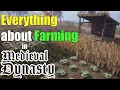 Medieval Dynasty Farming Guide - Start to Harvest
