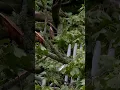 LaPorte continues to clean up after powerful storm leaves behind damage