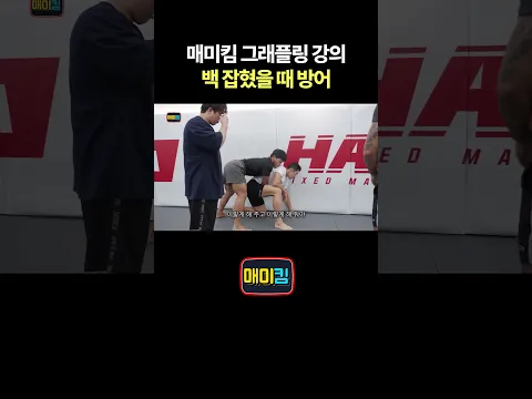 매미킴 그래플링 강의 백 잡혔을 때 방어