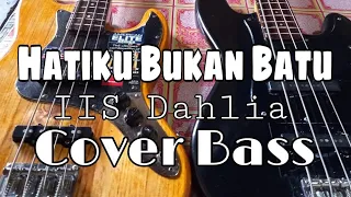 Download Hati ku Bukan Batu..Iis Dahlia..Cover bass...Amin Bass Bjm MP3