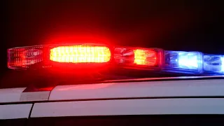 2 men found shot in head one dead in Coweta County deputies say
