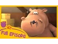 Download Lagu Pat and Stan |  Pat's Pet (Episode 39)