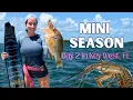 Our Best Dive Yet Spearfishing Tag-Teaming Bugs