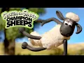Download Lagu Gymnastics 🤸 Championsheeps 🐑 Shaun the Sheep #sport #ShaunTheSheep