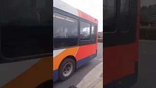          دندنها