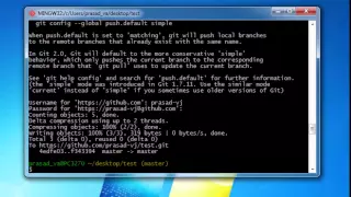 Git Bash and Git GUI