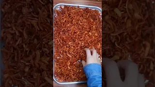 سر قرمشة بصل الكشري 