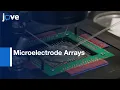 Microelectrode Arrays to Record Epileptiform Activity in Brain Slices Protocol