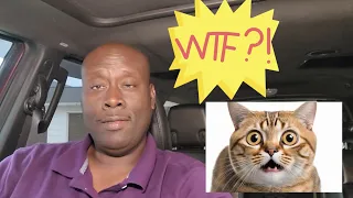 Lyft Driver Has Cat Left in his Car