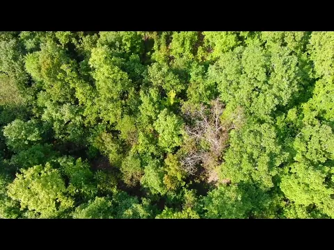 VIdeo Drone DB10 Narrated
