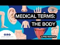 PARTS of the BODY for HEALTHCARE professionals