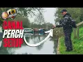 MASTER CANAL LURE FISHING FOR PERCH AWESOME SETUP Perch on lures for beginners