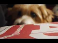 Lagu AD TVC • Altijd dichtbij