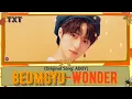 [COVER] BEOMGYU's Wonder (Original Song: ADOY) - TXT (투모로우바이투게더)[Easy Lyrics]|Lirik INDO || SUB INDO