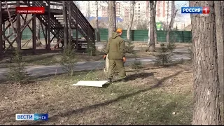 Омичи стали жаловаться на укусы клещей и обращаться за мед. помощью в травмпункты