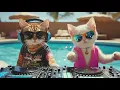 DJ MIAWW Live β Love Beats by the Pool πΎπ | Chill House Grooves with the Coolest Cat Duo