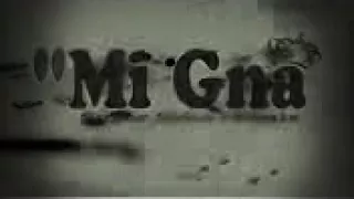 ياسر العسيري 