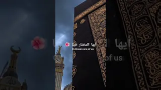 يرتوي بالحب قلبي بدون موسيقى 