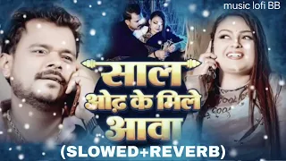saal odh ke mile aawa lofi song pramod premi yadav new song slowedreverb bhojpuri song music lofibb