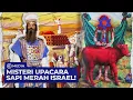 2024 !! ISRAEL REBUT YERUSALEM DEMI SAMBUT MESSIAH TURUN DENGAN UPACARA SAPI MERAH !! - THE DOCUMENT