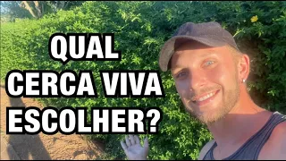 10 OPÇÕES de CERCA VIVA para fazer seu MURO VERDE com PLANTAS | Henrique Buttler