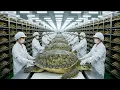 Inside the Turtle Shell Factory – How Million Dollar Products Are Made