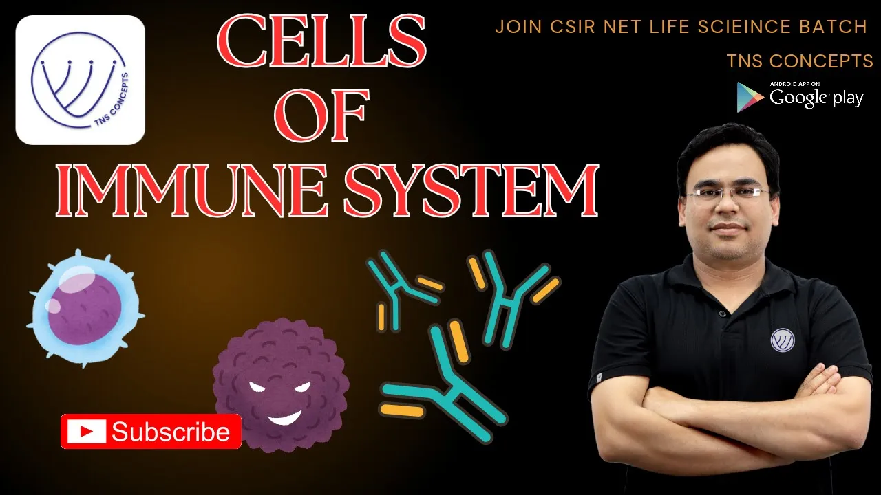 Cells of Immune system | Lymphoid Cells | CSIR NET LIFE SCIENCE | TNS CONCEPTS