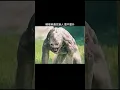 Download Lagu Horror Movies #movie #godzilla #film #movieclips #kingkong #haunted #viral