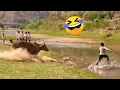Lagu TRY NOT TO LAUGH 😆 Best Funny Videos Compilation 😂😁😆 Memes PART 228