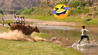 try not to laugh best funny videos compilation memes part 228